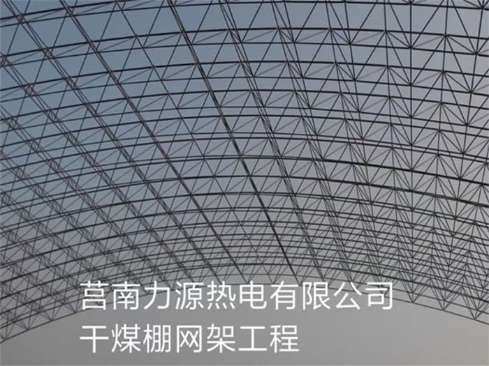 杨浦力源热电有限公司干煤棚网架工程